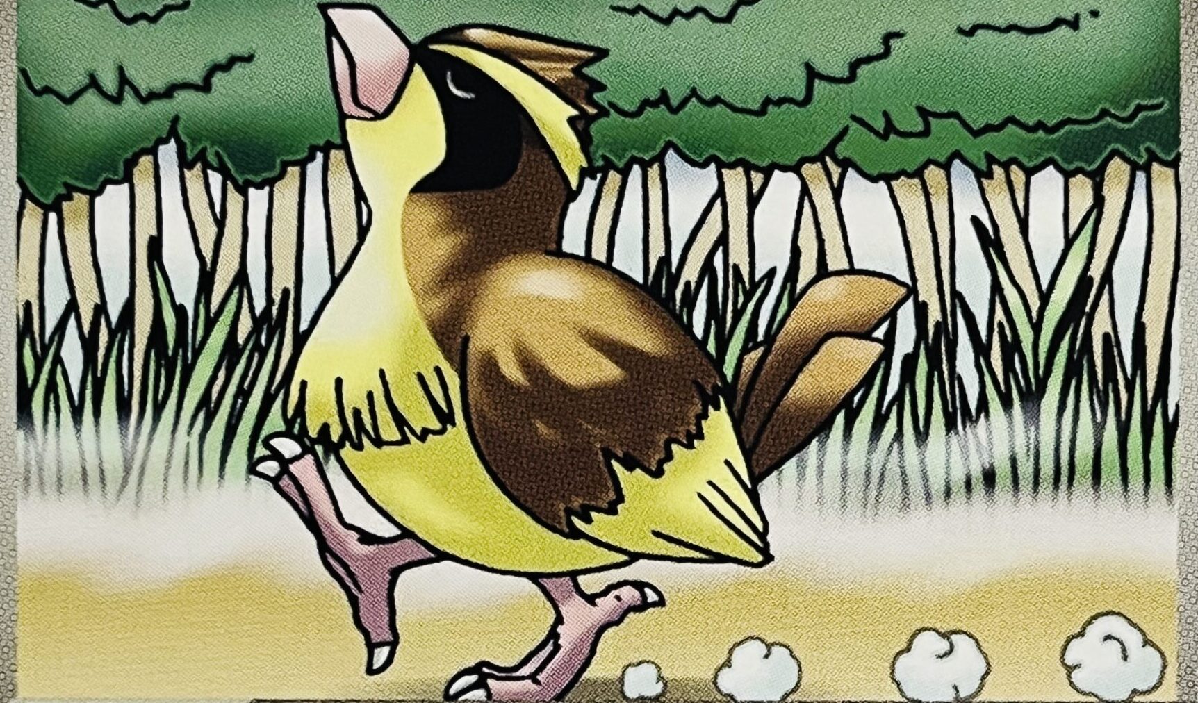 ポケモンカードの考察（妄想）