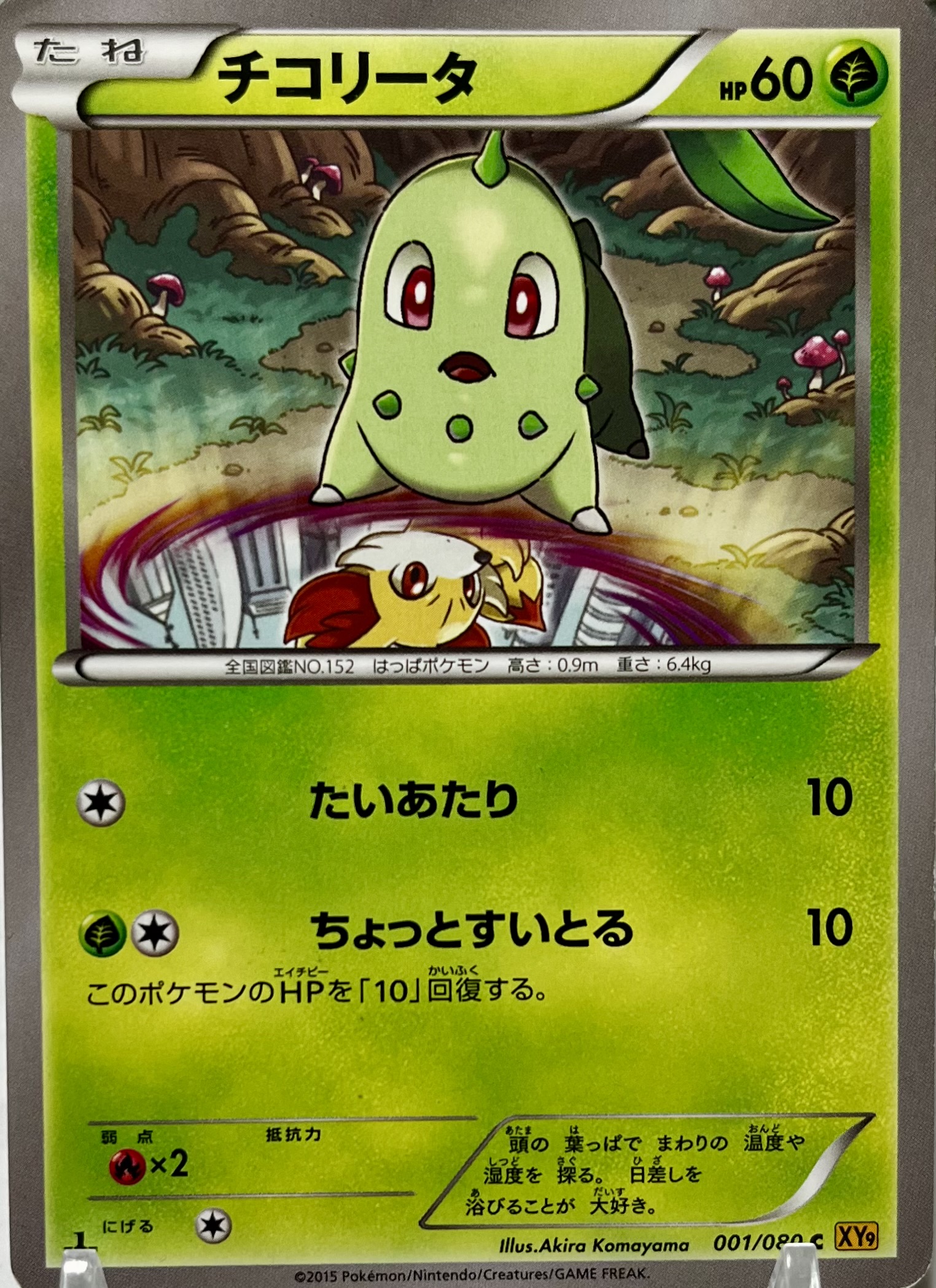 チコリータ