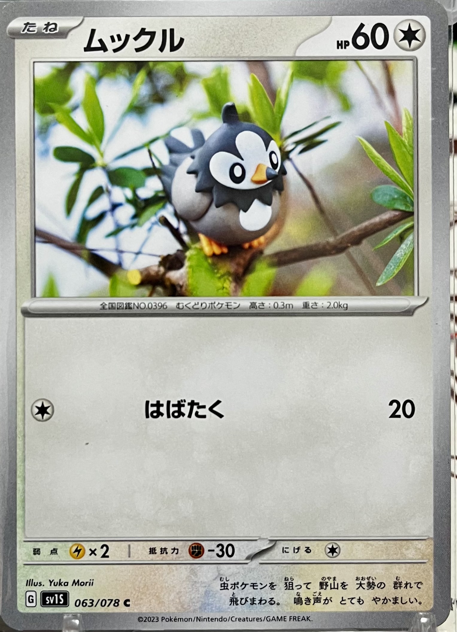 ムックル