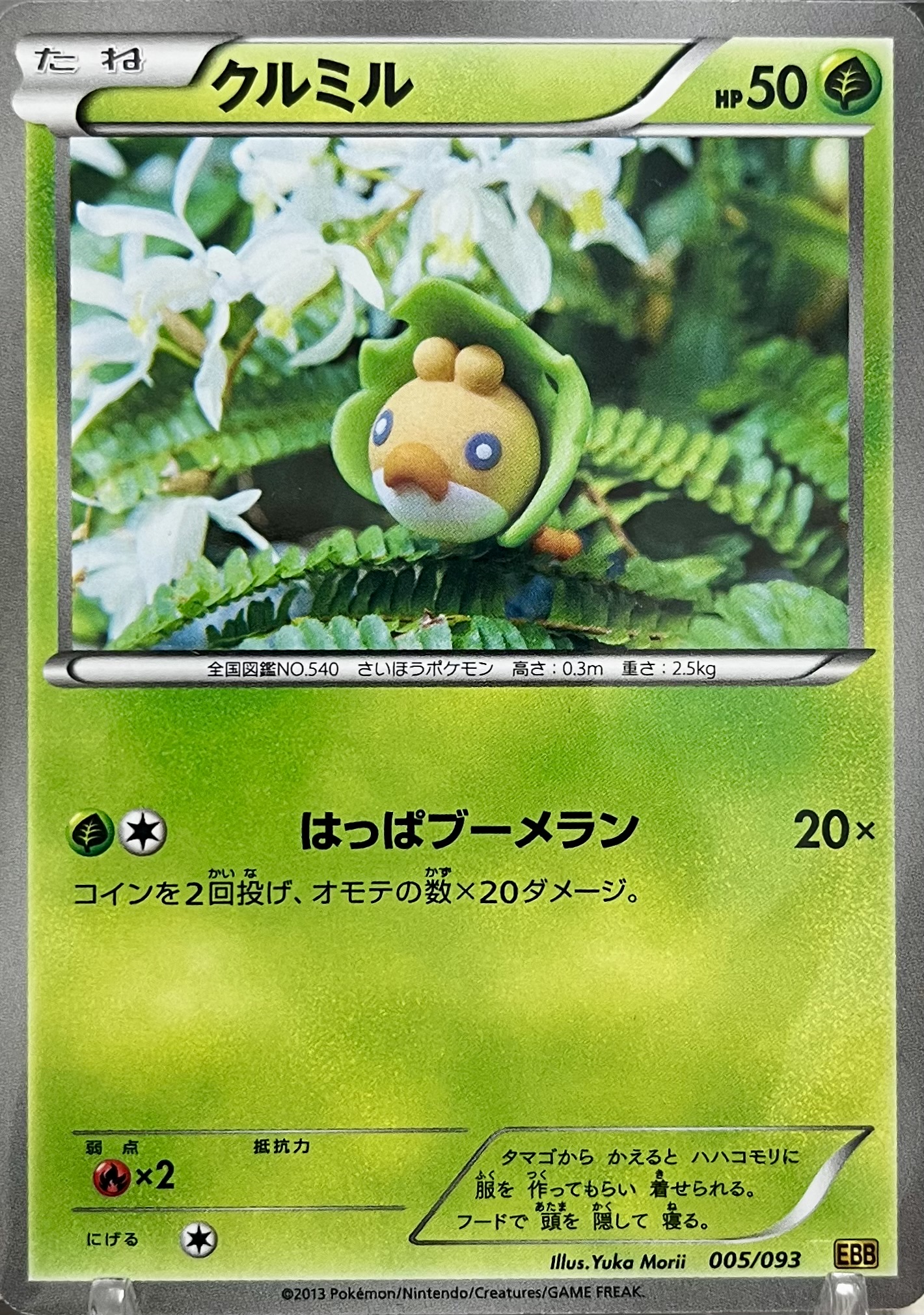 クルミル