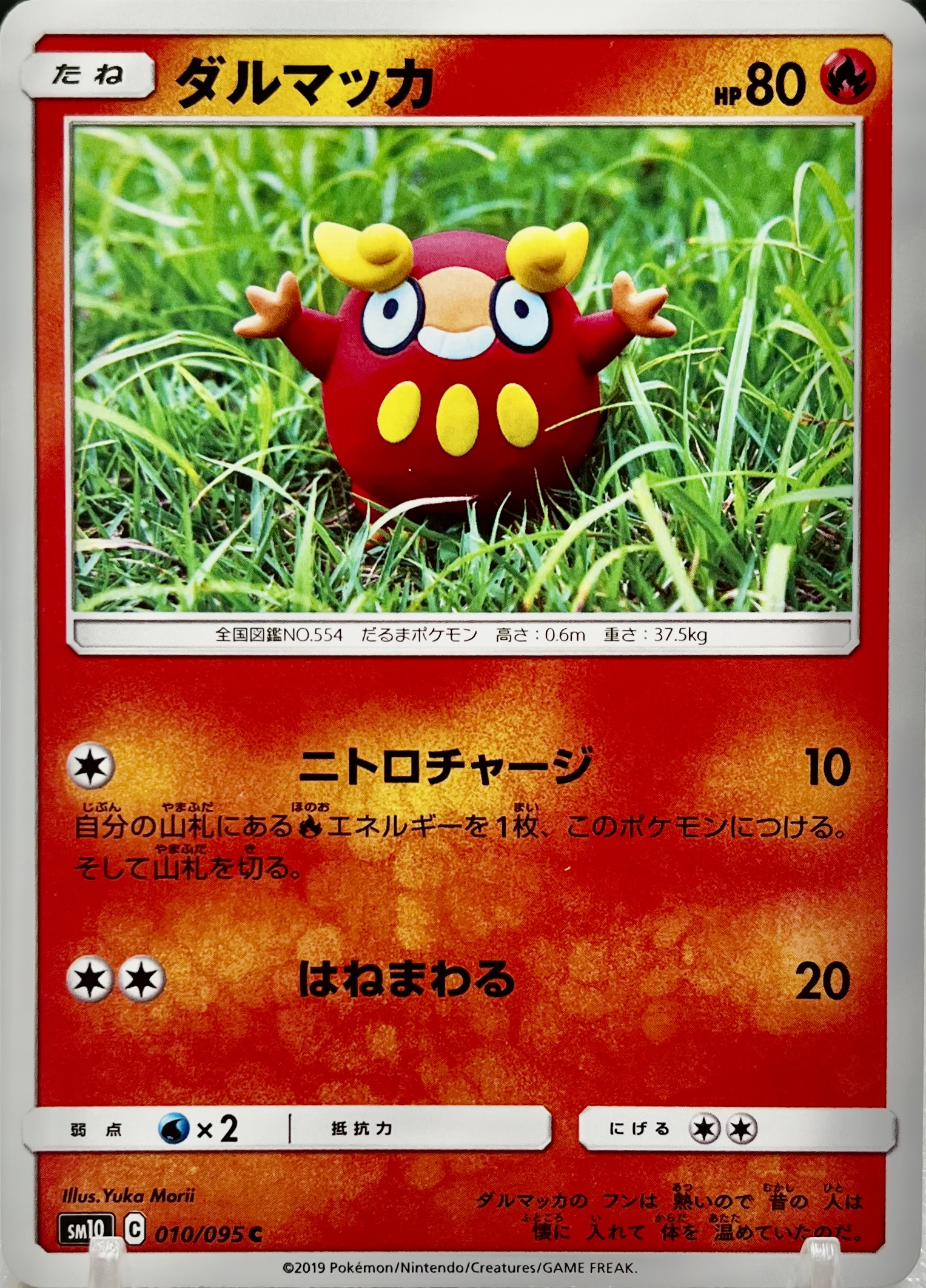 ダルマッカ