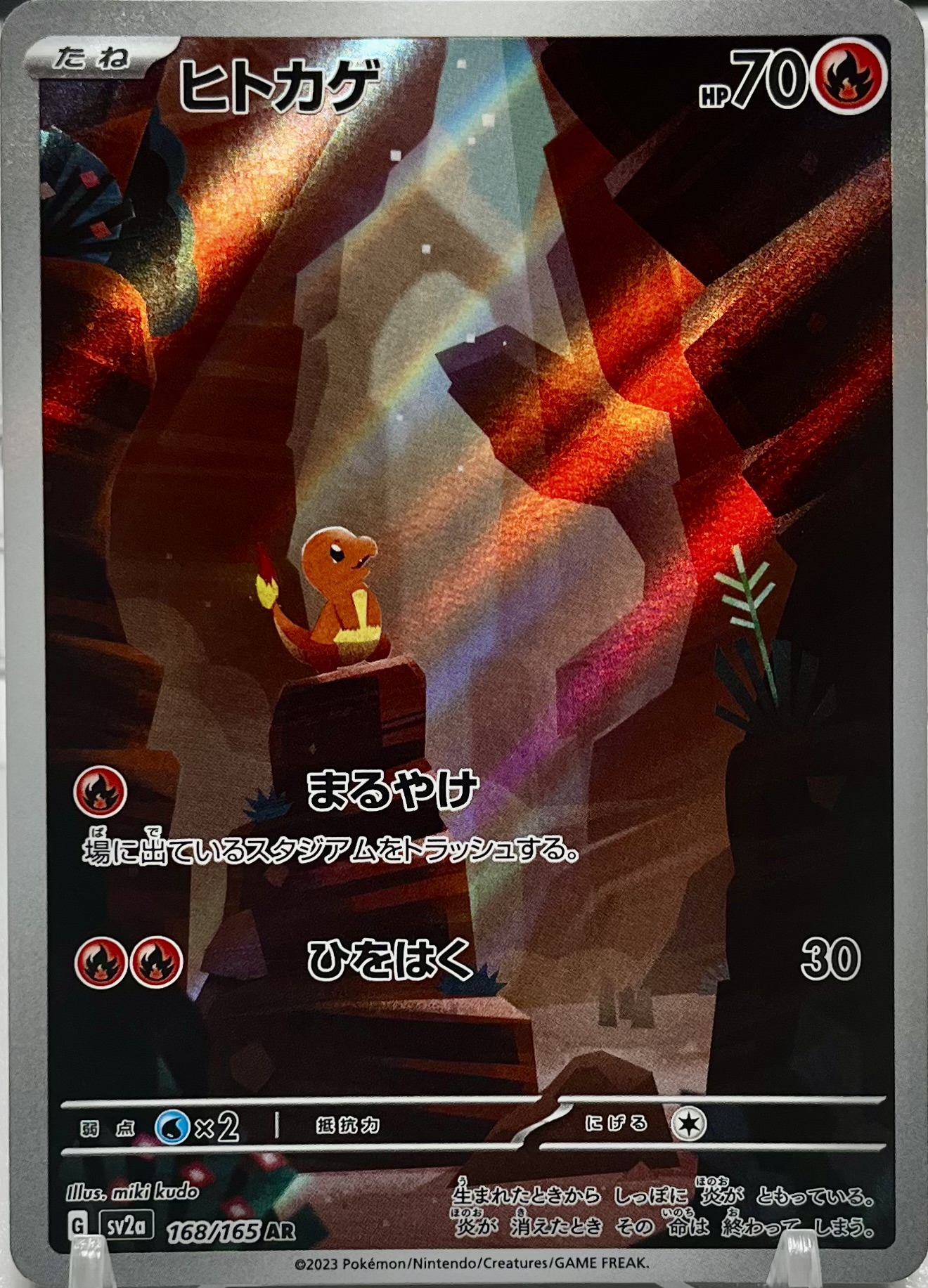 ヒトカゲ AR