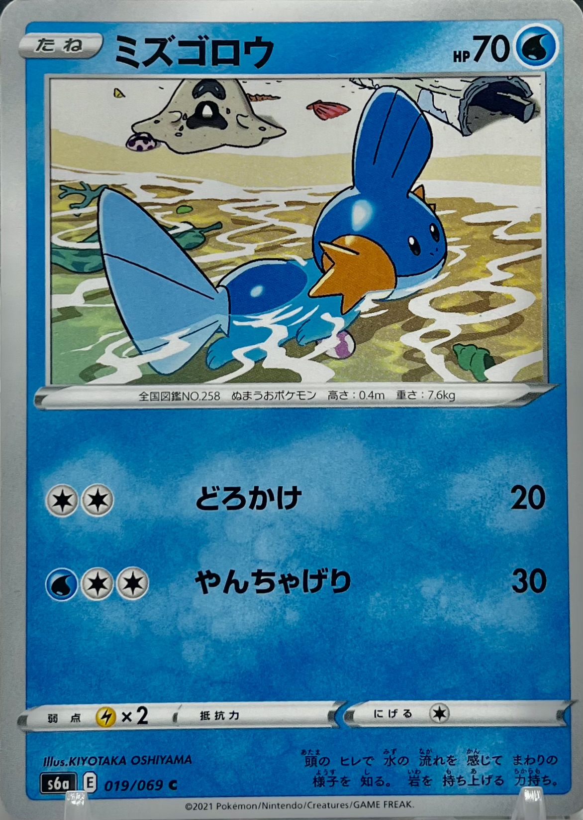 ミズゴロウ