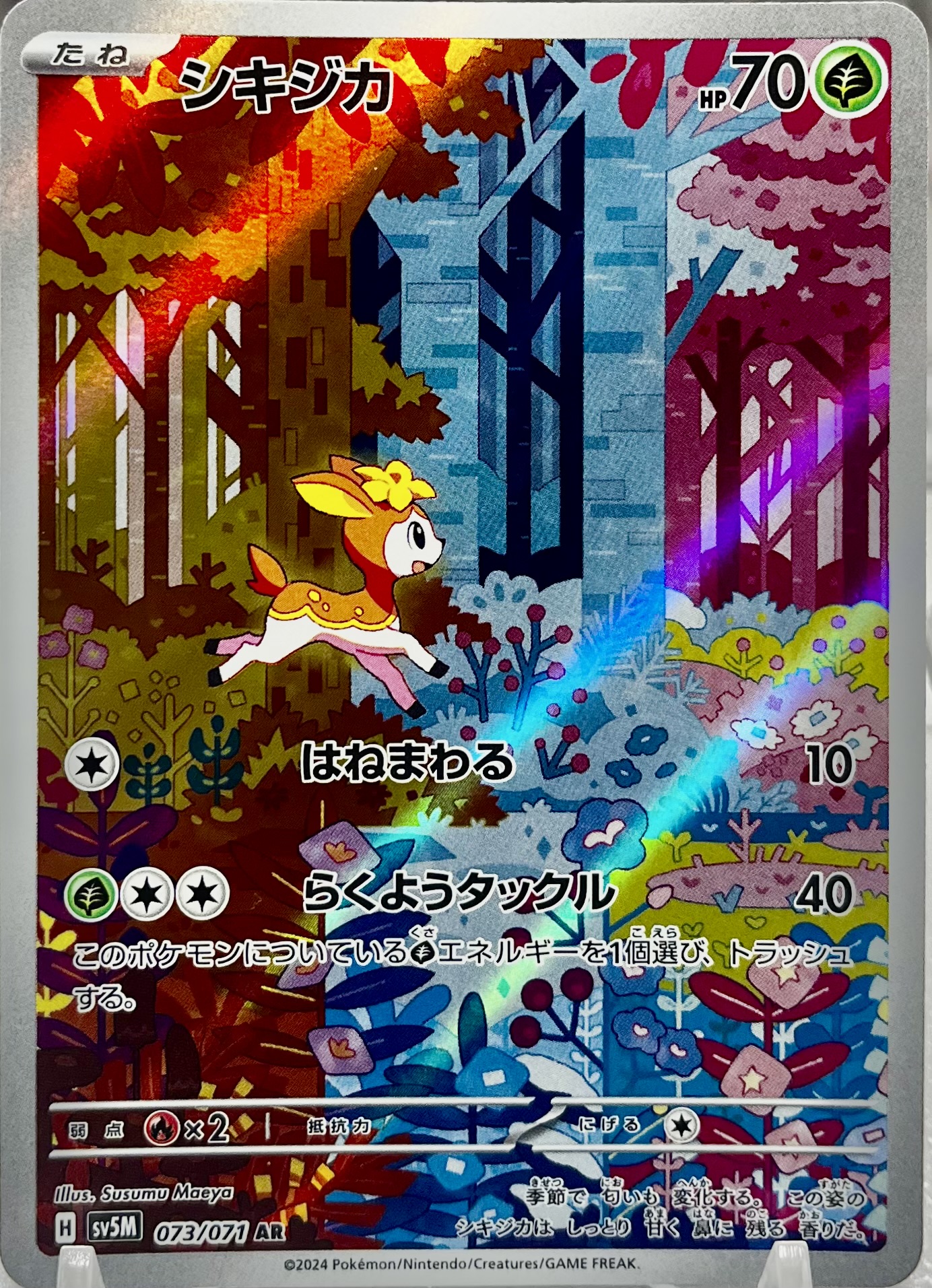 シキジカ AR